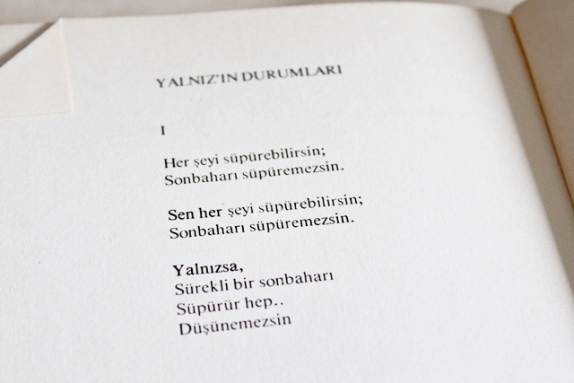 yalinizindurumlari