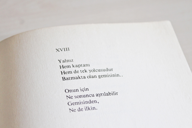 yalnizindurumlari2